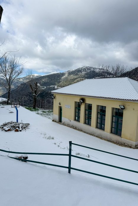 Olympia Xionia 11 scaled