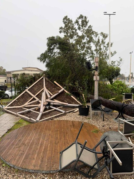 anemotsrovilos zimies