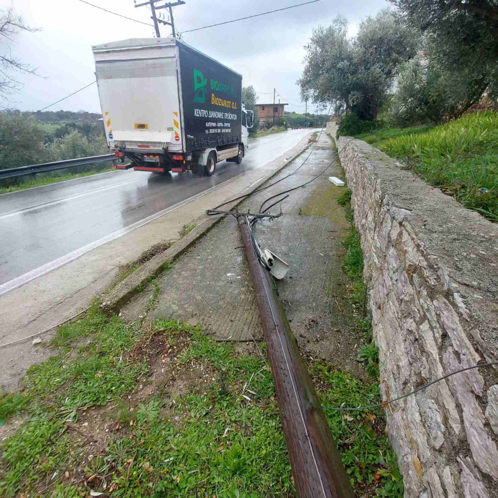 image 43 1 1024x1024