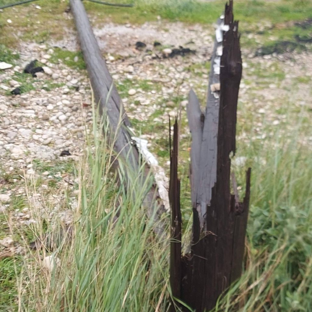 image 43 2 1024x1024