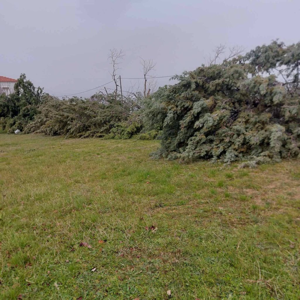 image 43 4 1536x1536