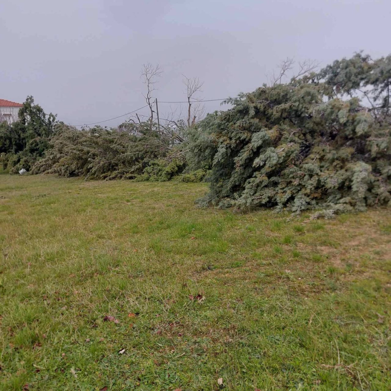 image 43 4 1536x1536