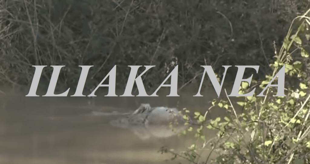 provata nekra potami thalassa