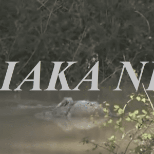 provata nekra potami thalassa