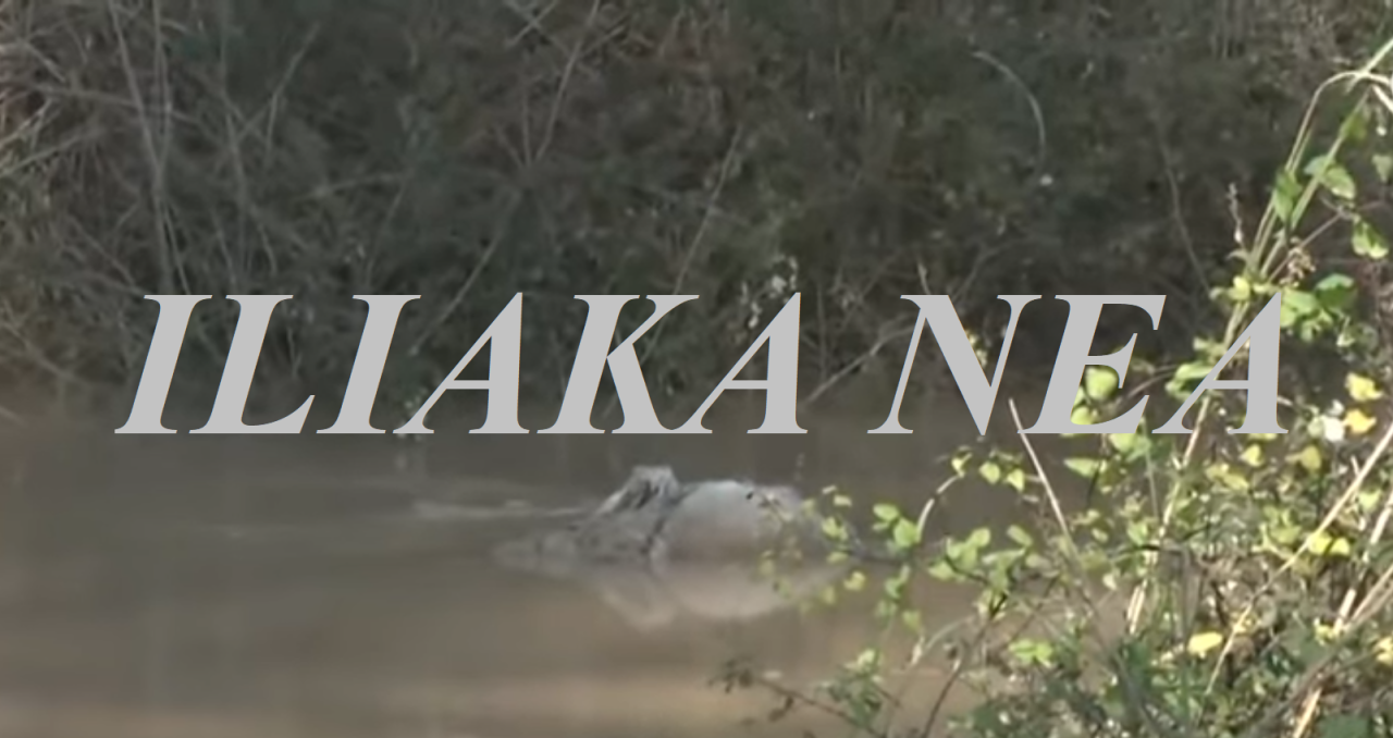 provata nekra potami thalassa