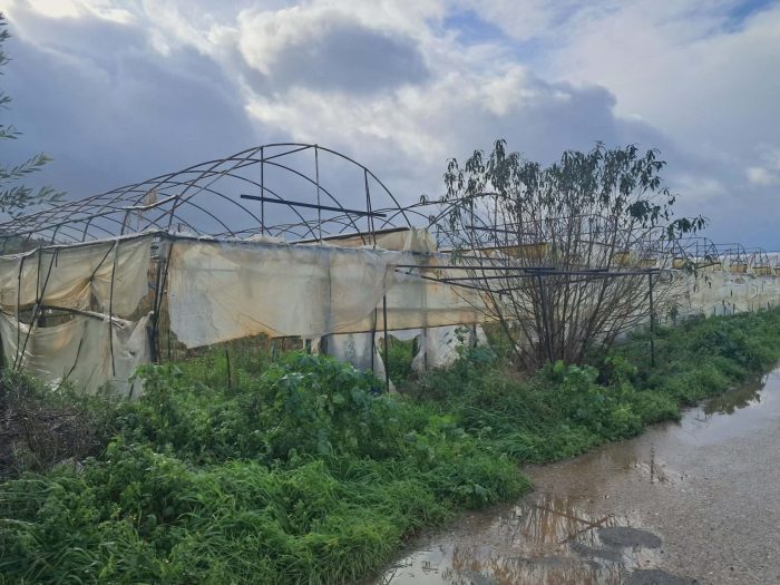 thermokipio ileia 1536x1152