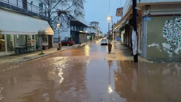 varda plum 2 768x433