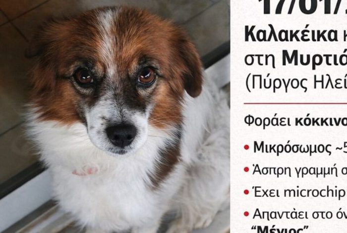 Στιγμιότυπο οθόνης 2026 01 29 083102 960x646