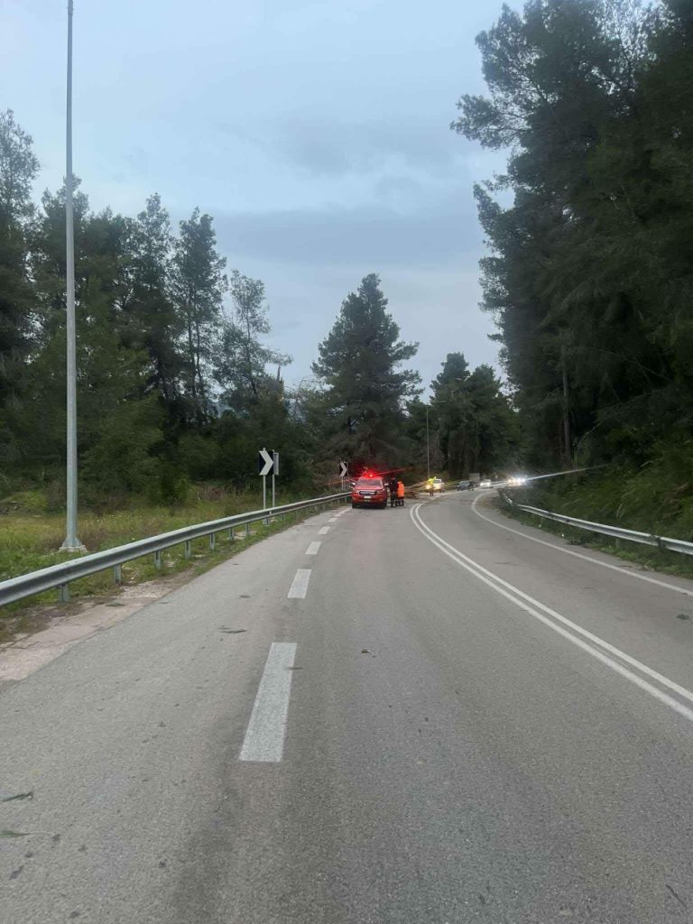 εικόνα Viber 2026 01 20 19 48 01 121