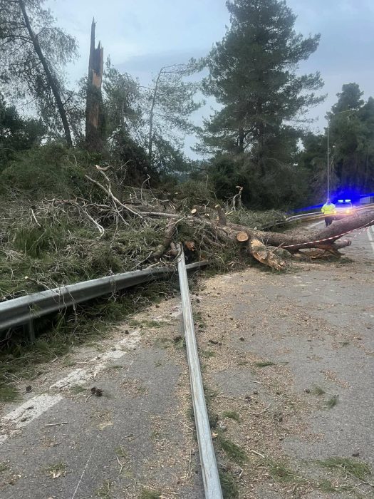 εικόνα Viber 2026 01 20 19 48 01 162