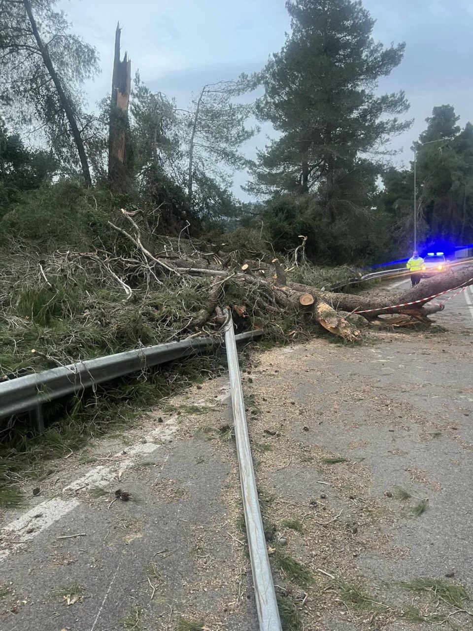 εικόνα Viber 2026 01 20 19 48 01 162