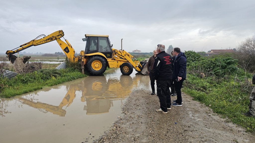 εικόνα Viber 2026 02 05 12 05 07 200