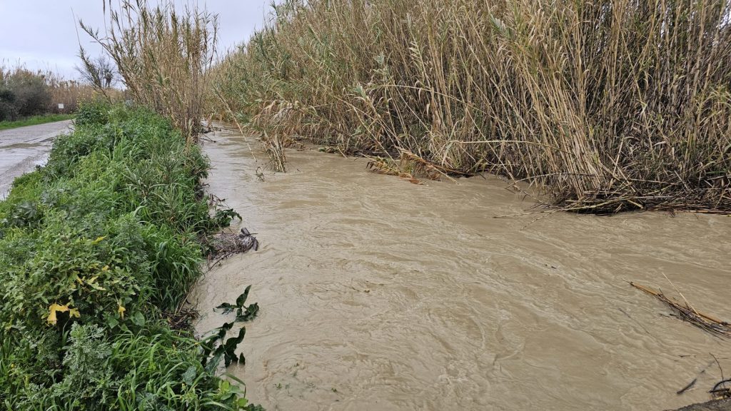 εικόνα Viber 2026 02 05 12 36 03 556