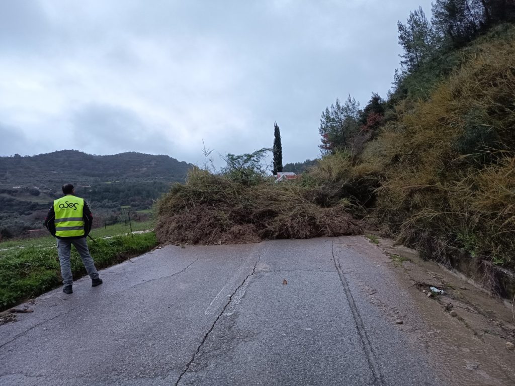 626342207 122252786042177802 472634302461752275 n