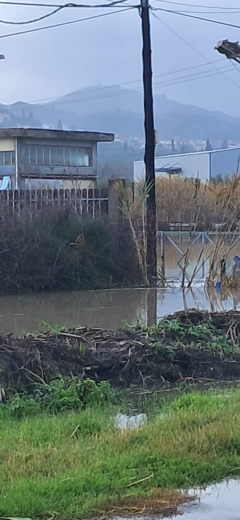 626818326 3311440179015001 4965101363798947510 n