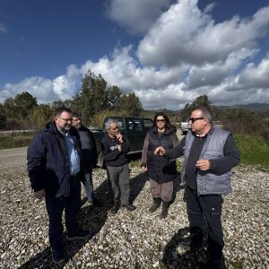 627702256 26096533429959664 772308740823632877 n