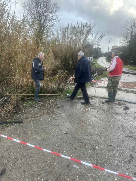 628462541 122252696372177802 978397940978587111 n