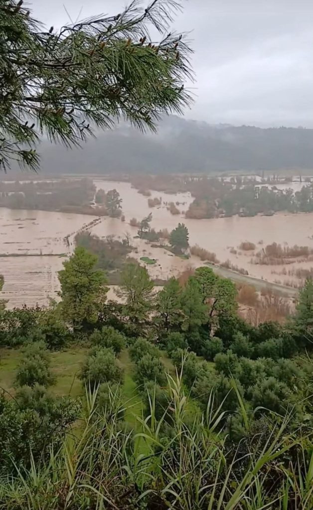 633424256 4175527852712167 1252262112784601301 n