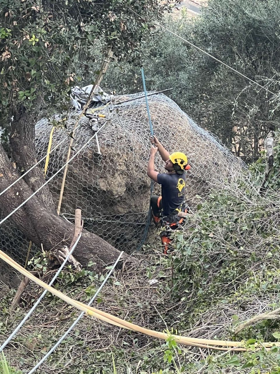 642874559 122255467220177802 230228658098909424 n