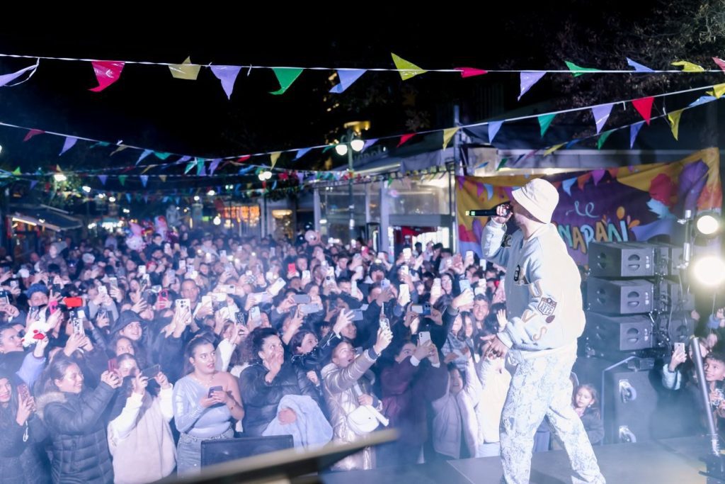 fly amaliada karnavali26