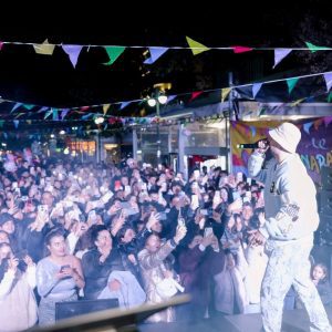 fly amaliada karnavali26