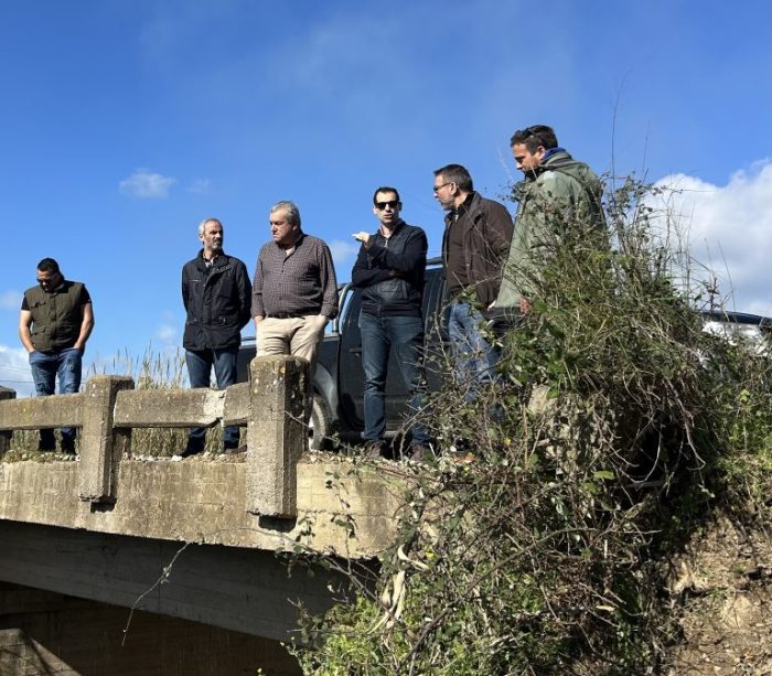 giannopoulos alfeios 7 768x673