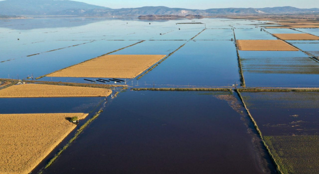 karla limnikarla agro