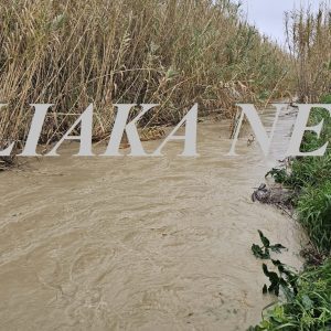 plimira rerma knanali