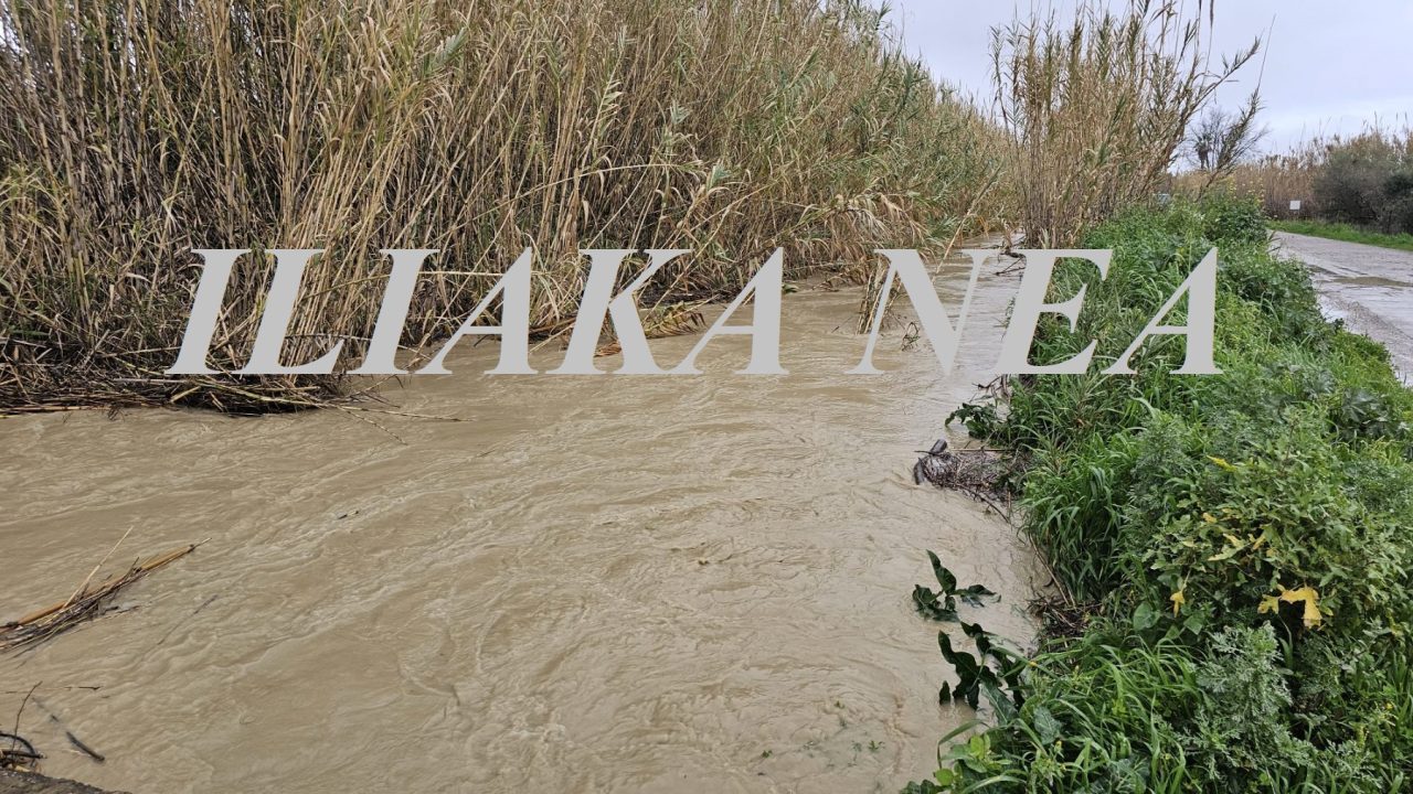 plimira rerma knanali