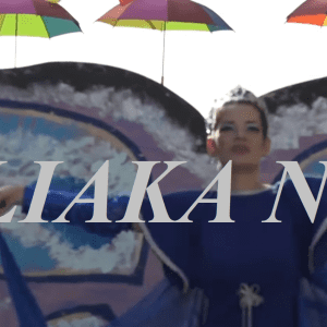 Στιγμιότυπο οθόνης (2898)