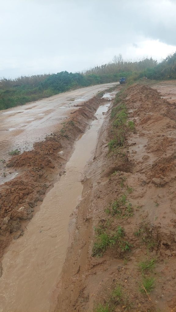 αντιπλιμ antiplim (2)