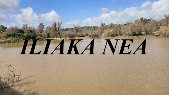 εικόνα Viber 2026 02 07 13 06 31 398