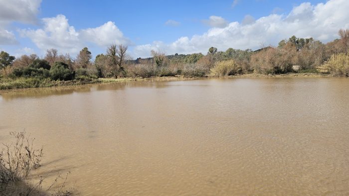 εικόνα Viber 2026 02 07 13 06 31 398