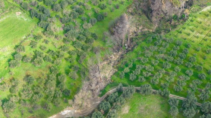 Xelidoni Sentoukiotissa3 copy 1024x575