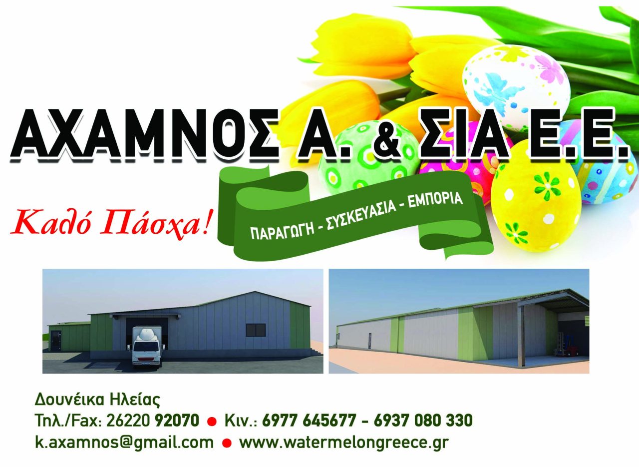 axamnos misi pasxa copy