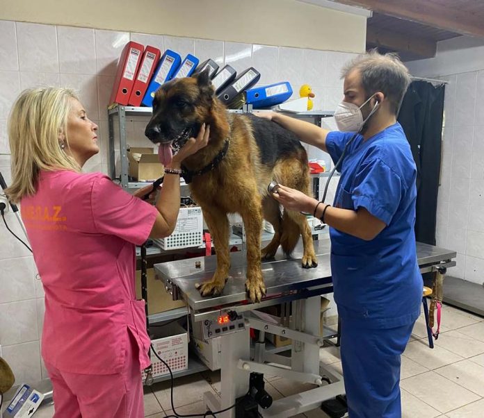 emvoliasmos zoa ktiniatros