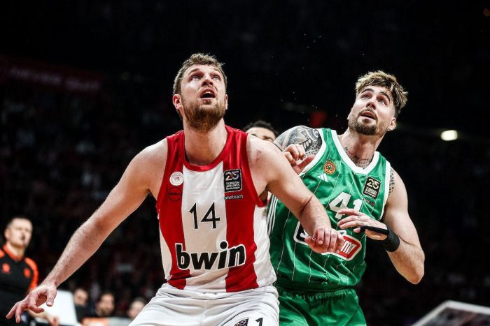 euroleg basket