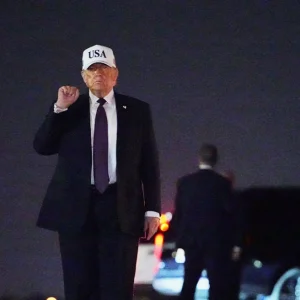 maketa trump28