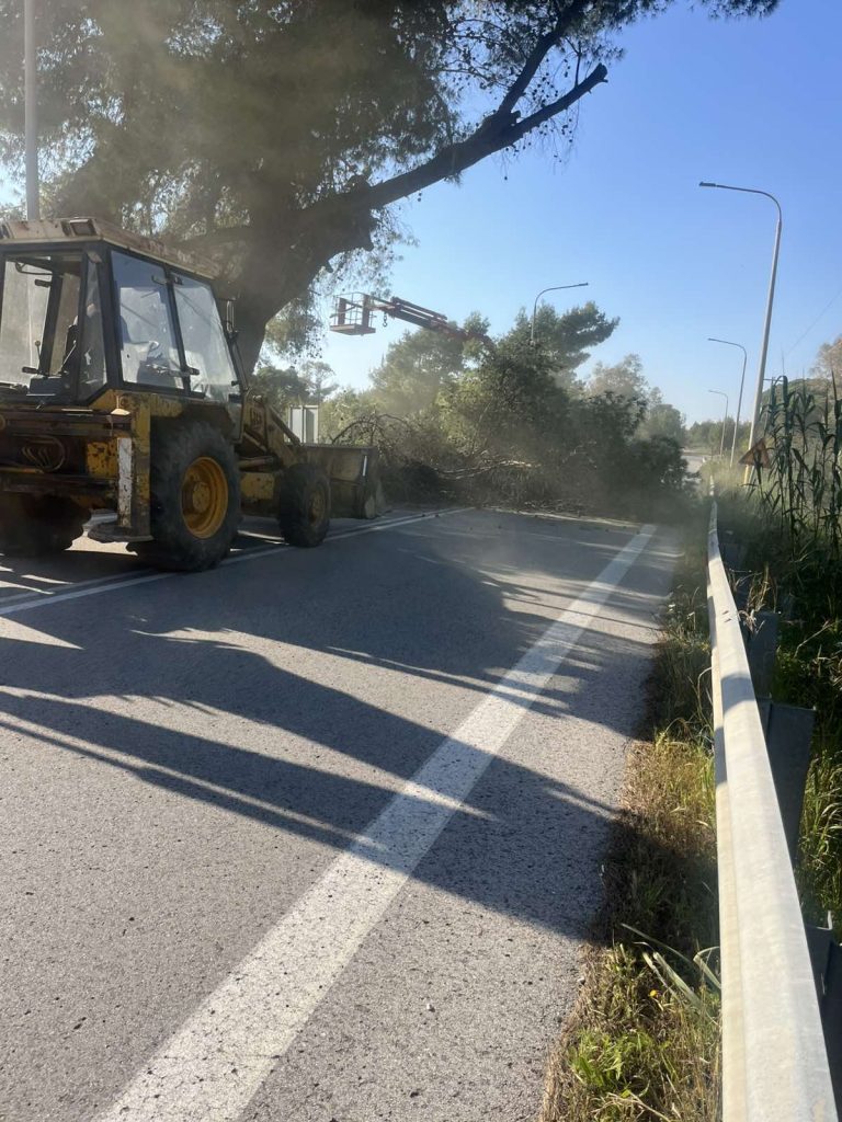 ΑΠΟΨΙΛΩΣΕΙΣ 5