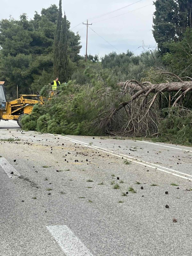 ΚΛΑΔΕΑΜ ΔΡΟΜΟ (2)
