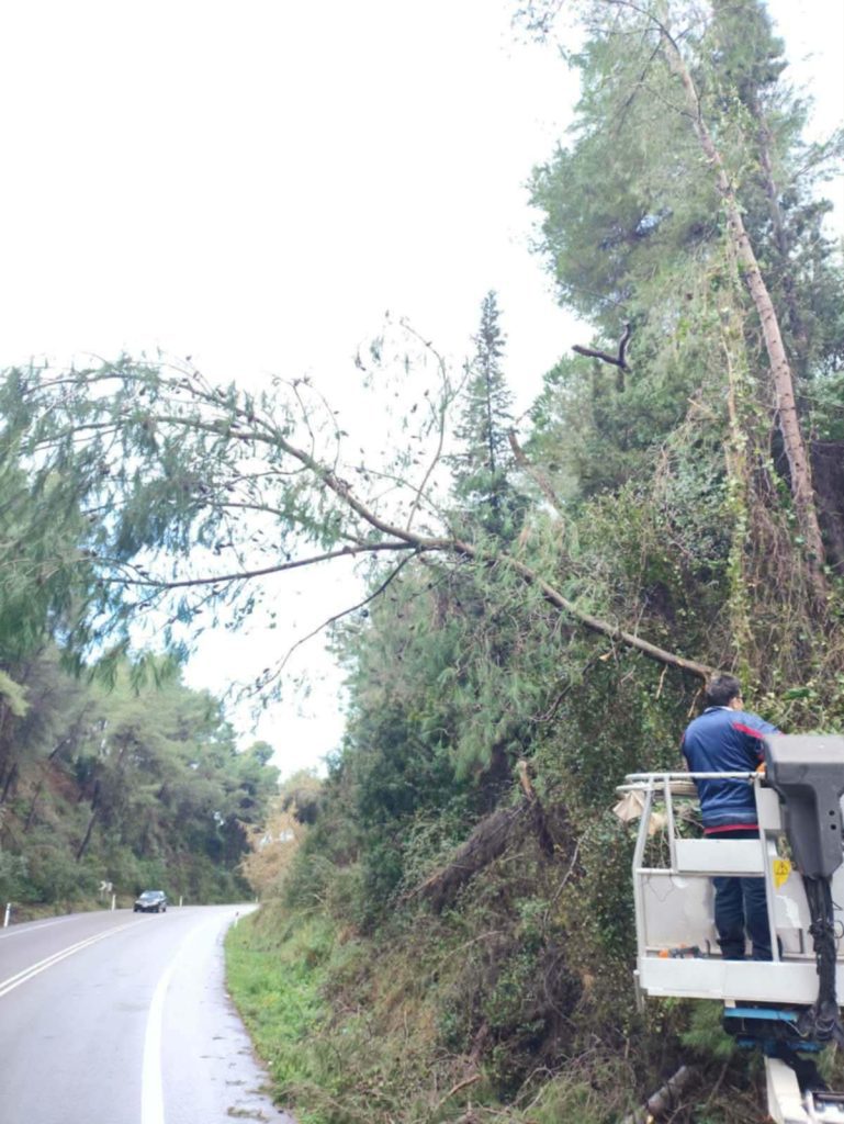 ΚΛΑΔΕΑΜ ΔΡΟΜΟ (4)
