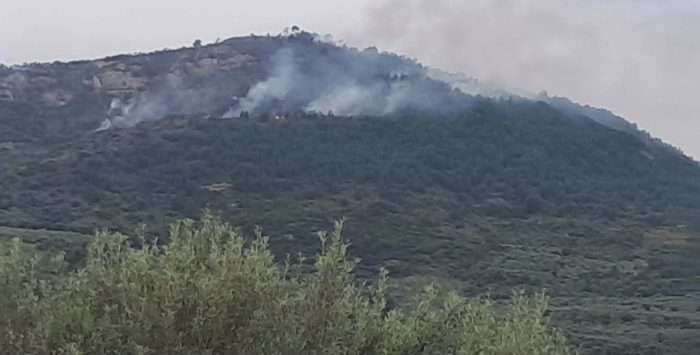 1776575605 670238624 944305484897596 7997512132472476274 n.jpg