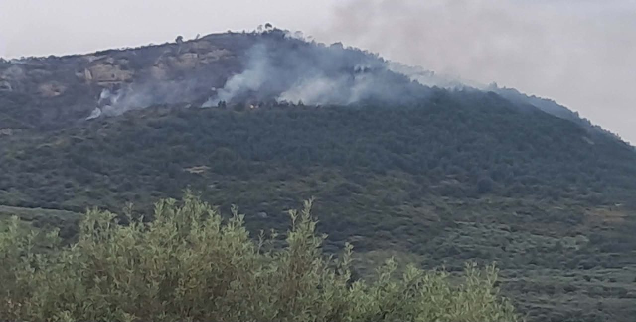 1776575605 670238624 944305484897596 7997512132472476274 n.jpg