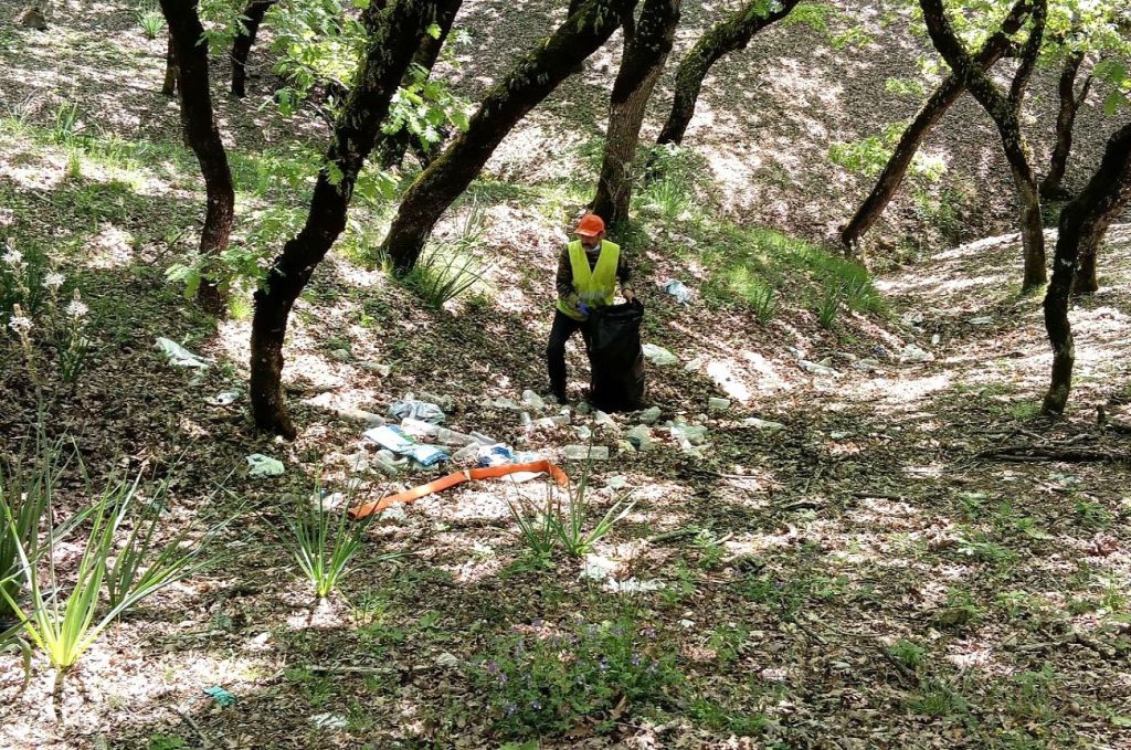 1 KATHARISMOS DASOS KAPELHS