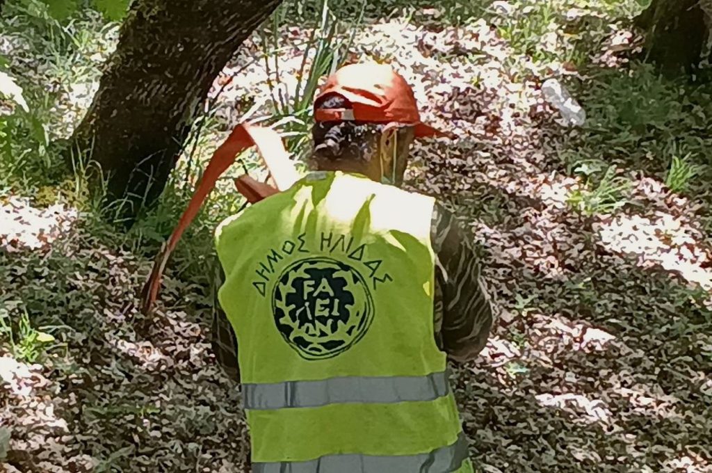 3 KATHARISMOS DASOS KAPELHS