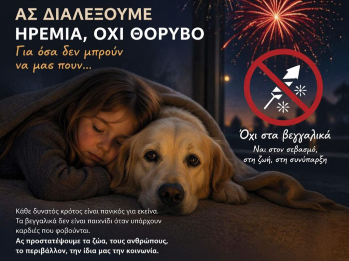 669032076 1323327692948129 5949612738009459732 n scaled