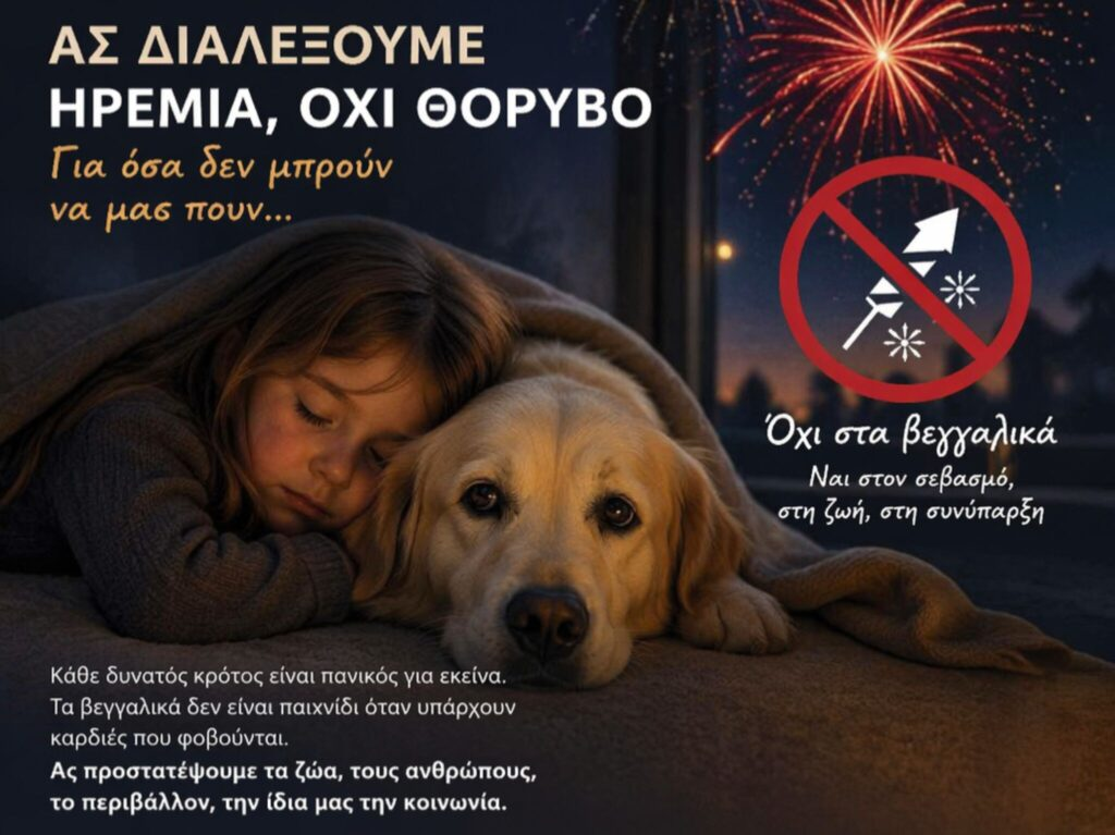 669032076 1323327692948129 5949612738009459732 n scaled