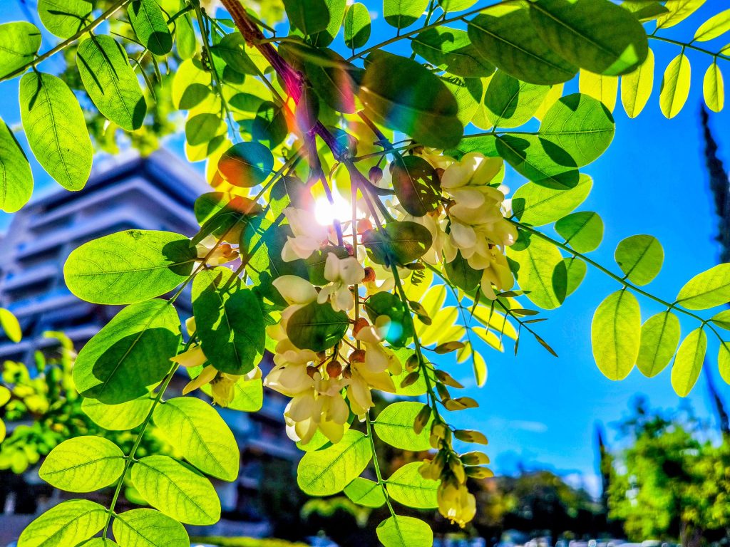 6947012 1 scaled.jpg