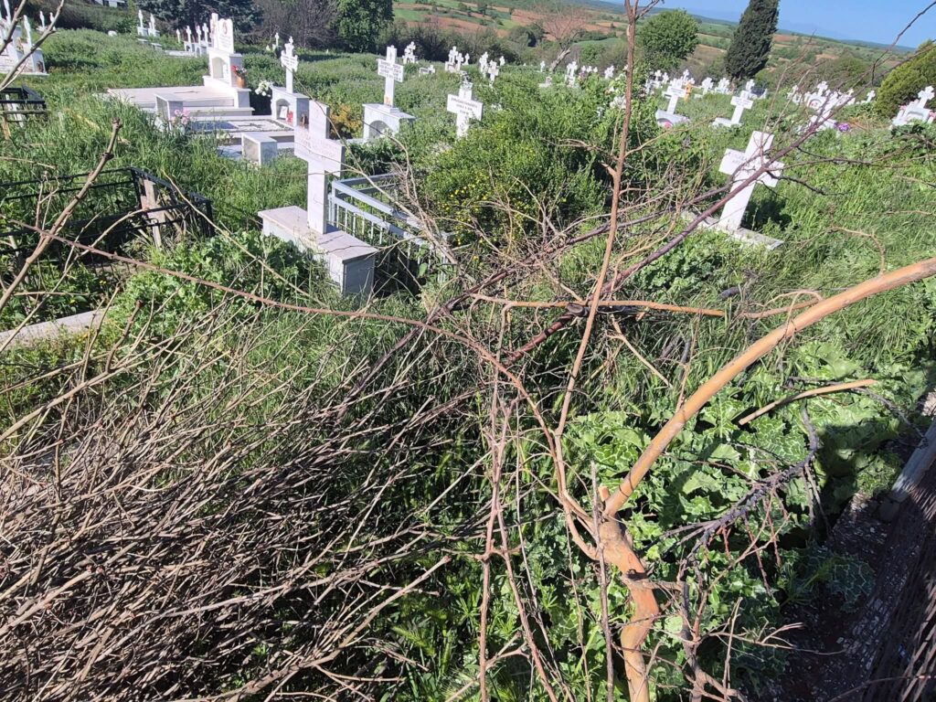 FB IMG 1777291094800 1024x768 1.jpg