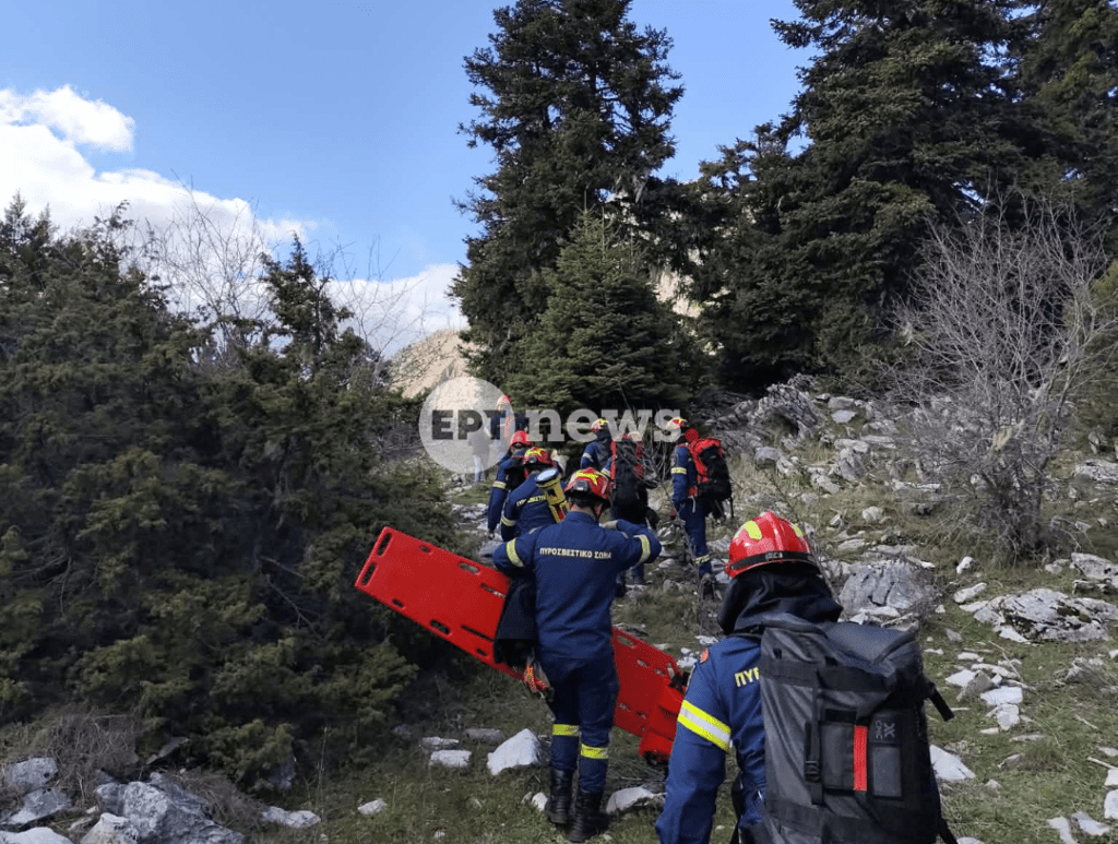 agrinio diaswsi3 e1775406906537.png